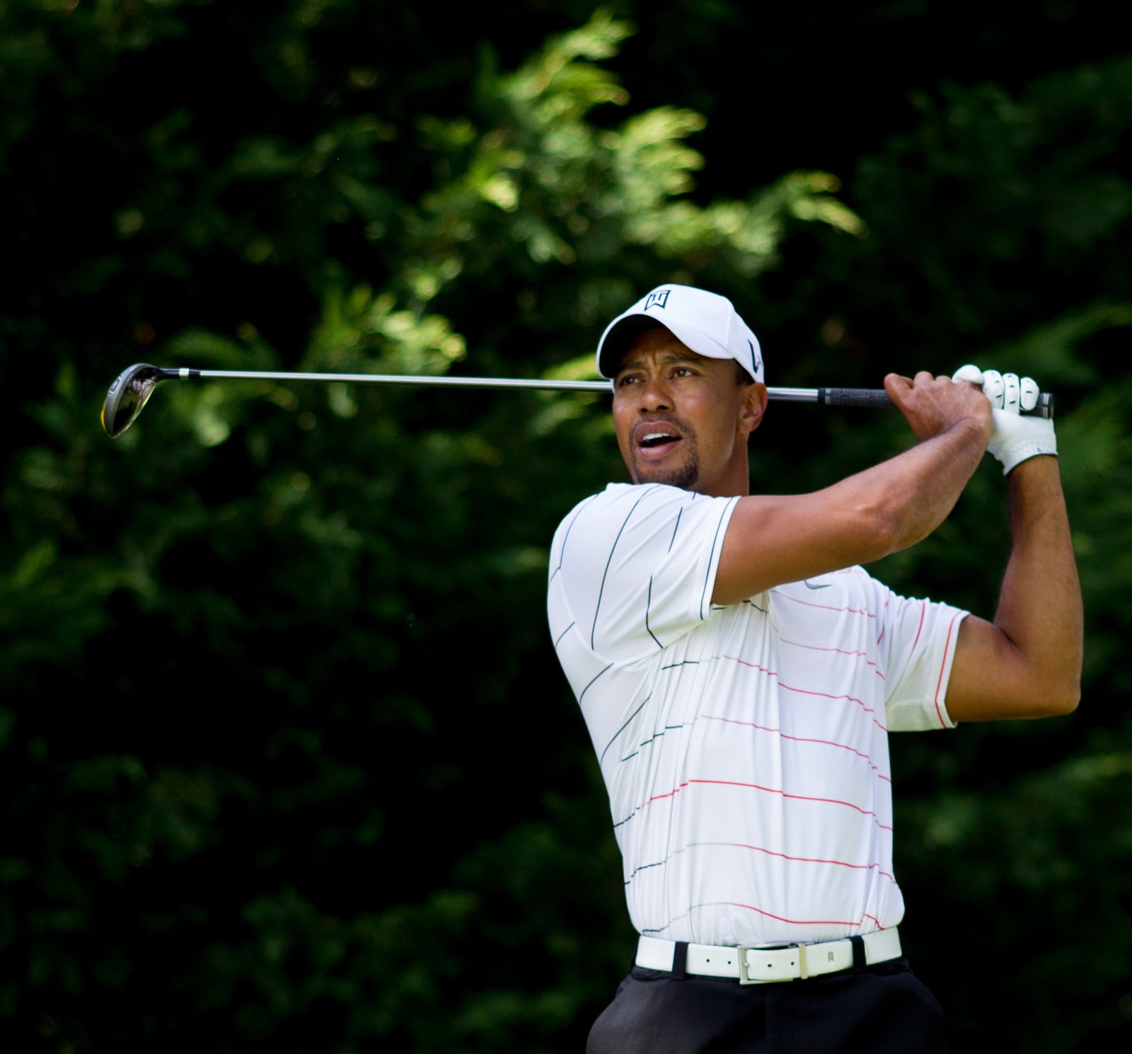 Tiger Woods