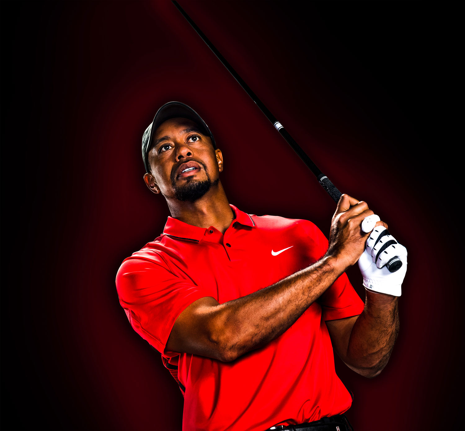 tiger woods